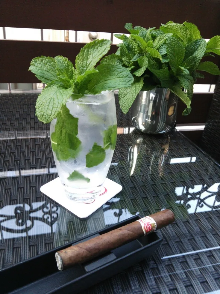 自家栽培ミントを使ったのモヒート。